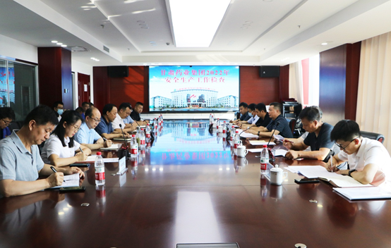 甘肅藥業(yè)集團(tuán)黨委副書記、總經(jīng)理竇生銘一行蒞臨隴神戎發(fā)進(jìn)行安全生產(chǎn)專項(xiàng)檢查