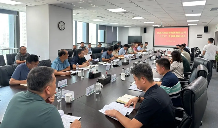 【集團(tuán)要聞】甘肅藥業(yè)集團(tuán)召開(kāi)“十五五”發(fā)展規(guī)劃研討會(huì)