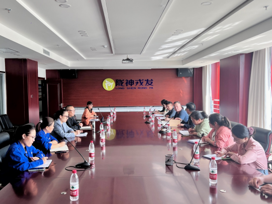 甘肅藥業(yè)投資集團(tuán)工作組一行到隴神戎發(fā)開(kāi)展研發(fā)費(fèi)用專項(xiàng)檢查